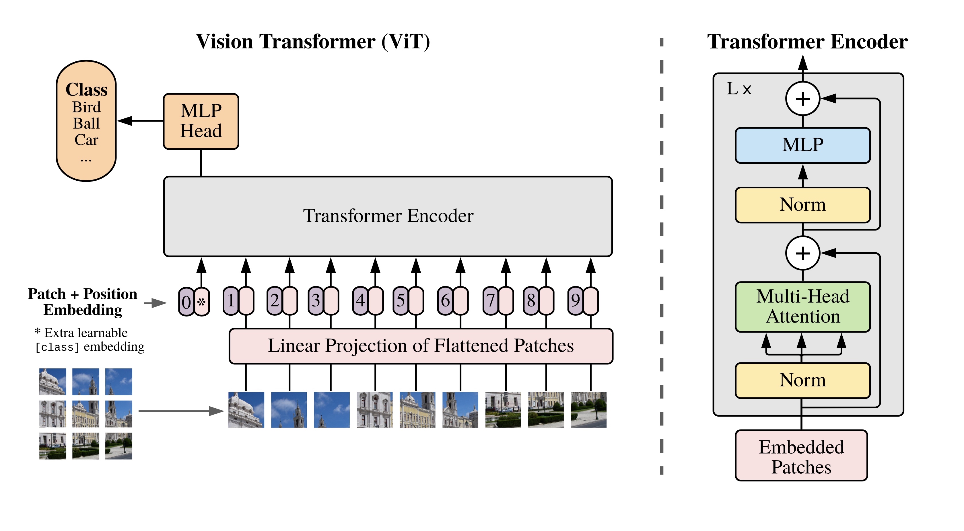 Vision Transformer架构