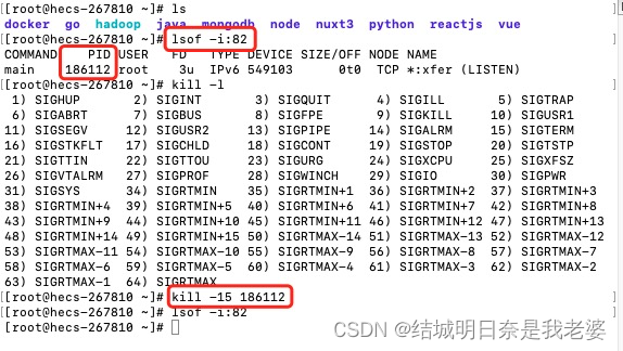 关于查看处理端口号和进程[linux]