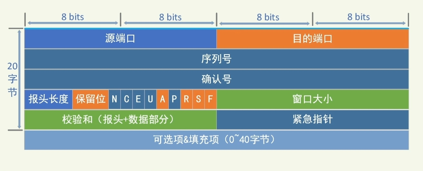 来自b站牛兮兮的书发布的视频