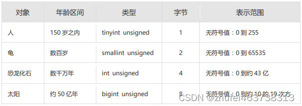 MySQL基础（十）创建和管理表