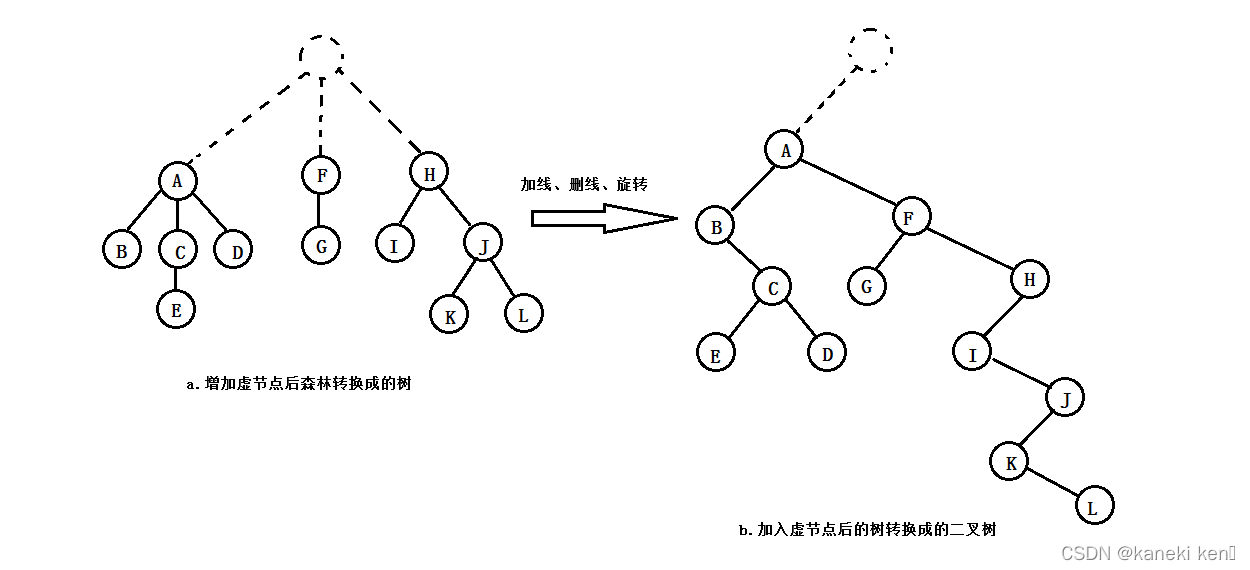 增加一个虚节点，将森林转换成二叉树的示意图