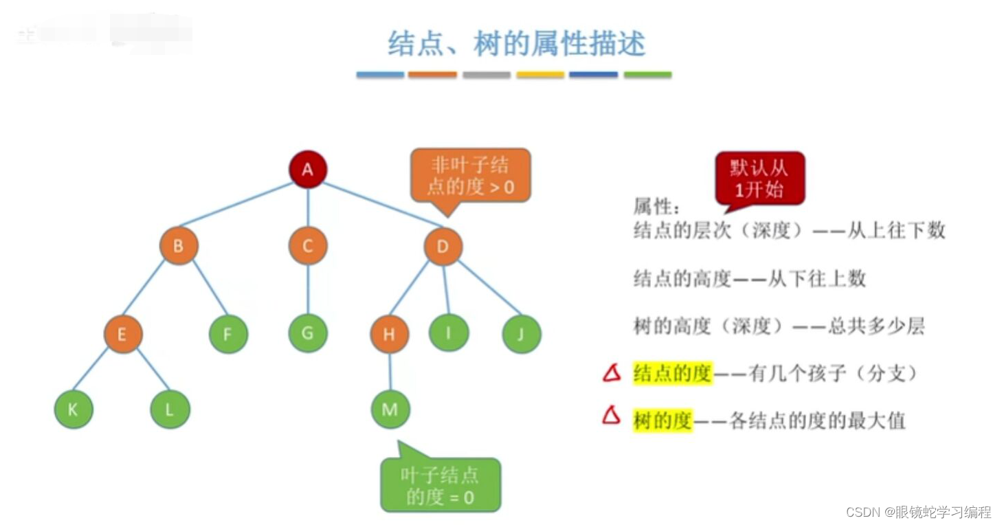数据结构-第5章--树与二叉树（考研重点）-CSDN博客