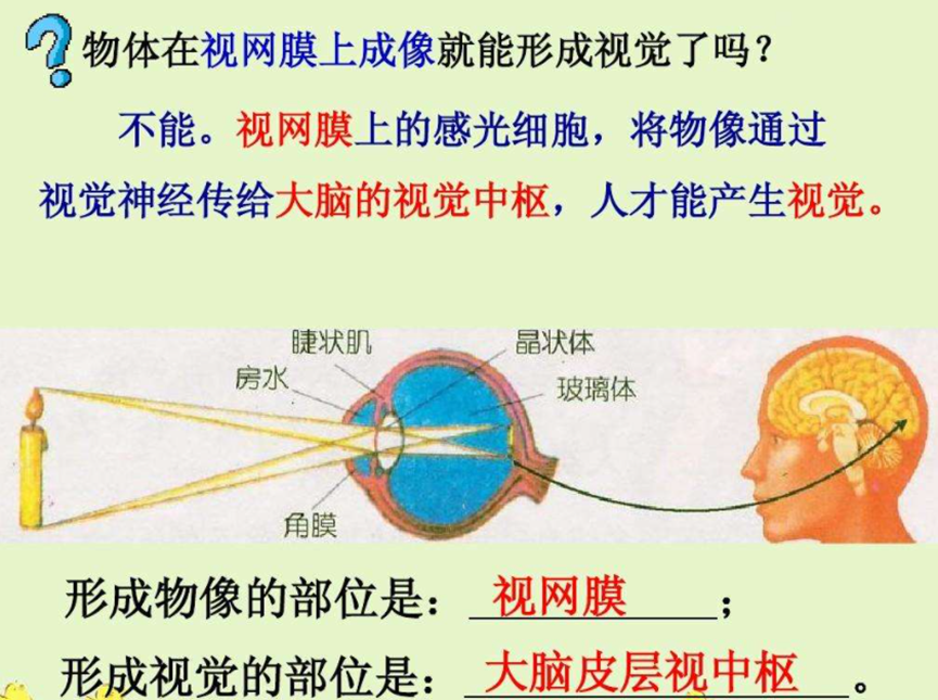 如上图所示,人类的视觉系统和电子成像系统在逻辑上是完全一致的.