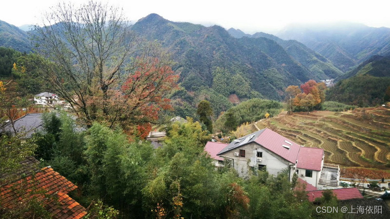 搅拌釜反应器全自动真空压力（正负压）控制解决方案