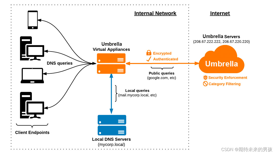 [外鏈圖片轉存失敗,源站可能有防盜鏈機制,建議將圖片保存下來直接上傳(img-j4dxAOw6-1650777565431)(…/…/圖片/typora/ad41e93-umbrella_internal_network.jpg)