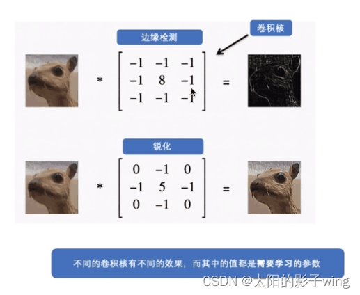 여기에 이미지 설명 삽입