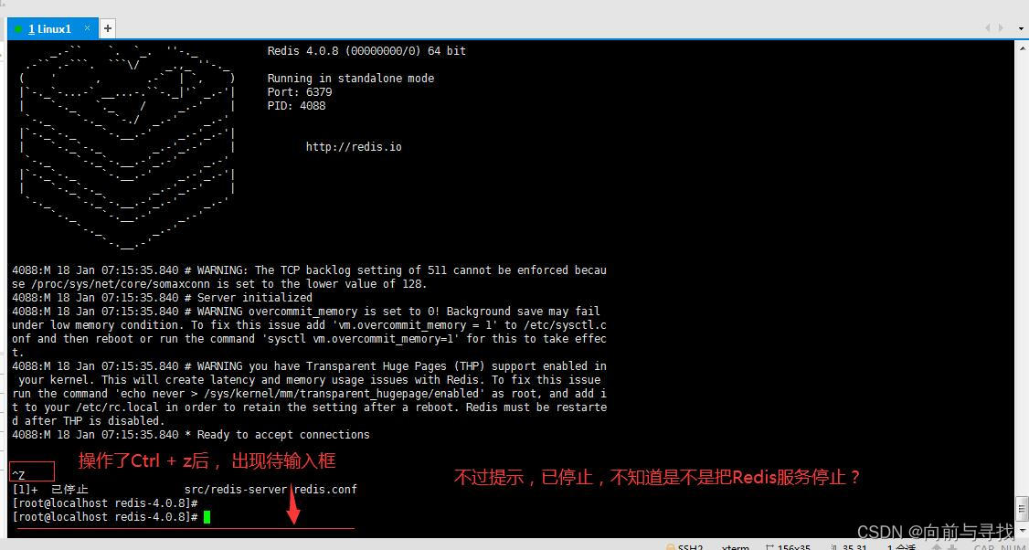 Redis Ready To Accept Connections Redis Ready To Accept Connections