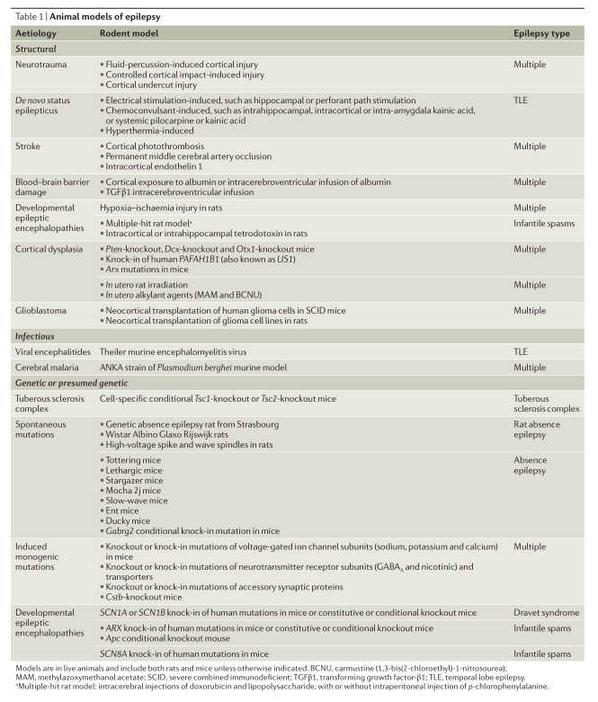 【2018 Nature】Review Disease Primers - Epilepsy 【文献翻译】 - 忆云竹