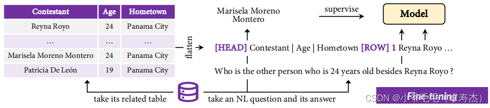 图2-1：微调过程的说明。在微调过程中，作者将从下游任务中提取的NL句子及其对应的表连接到模型中，并训练它输出答案（例如，“Marisela Moreno Montero”）。
