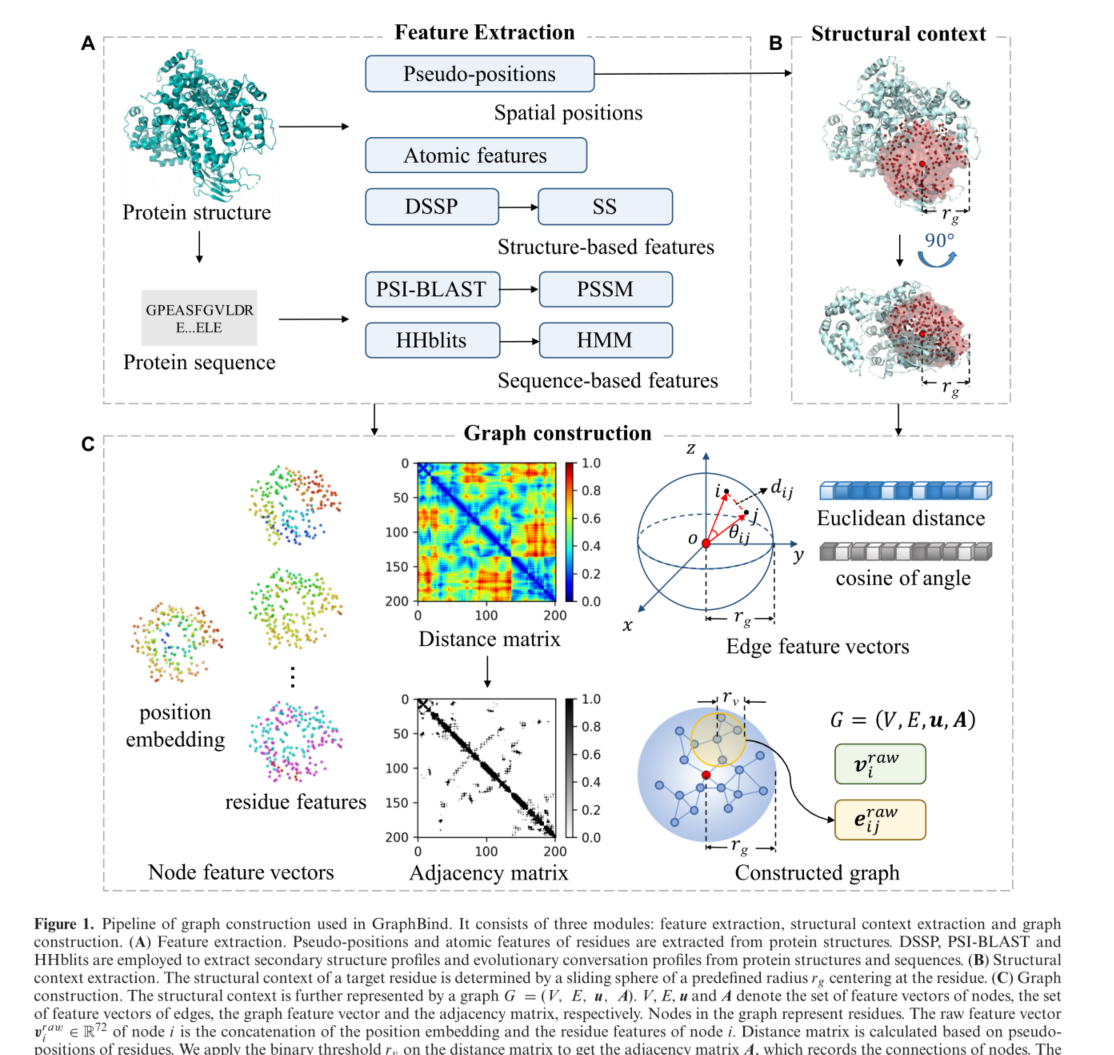 Graphbind 通过层次图神经网络学习蛋白质局部结构嵌入规则以用于识别核酸结合残基 Good Ly的博客 Csdn博客