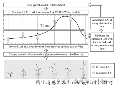 植被参数光学遥感反演方法(Python)及遥感与生态模型数据同化算法技术应用