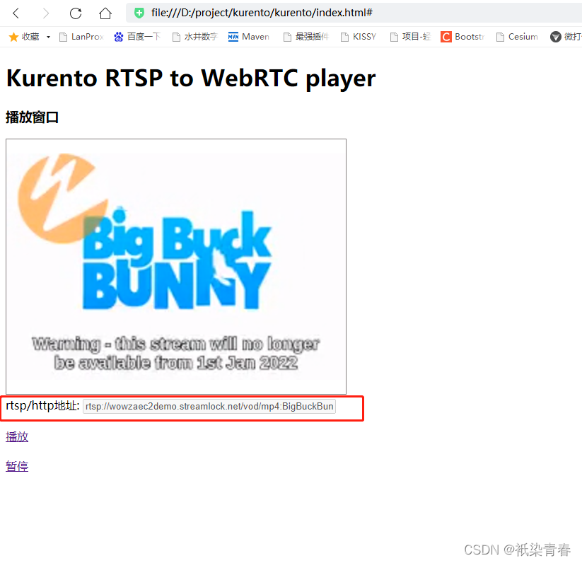 kurento-media-server和cotrun打洞的服务器的安装及部署,实现RTSP转WebRTC视频流播放