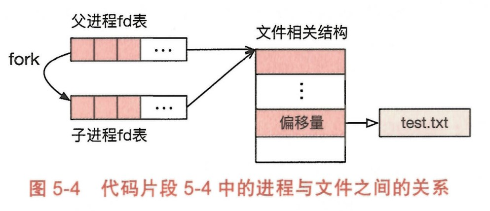 fd 表