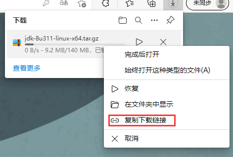 复制下载链接