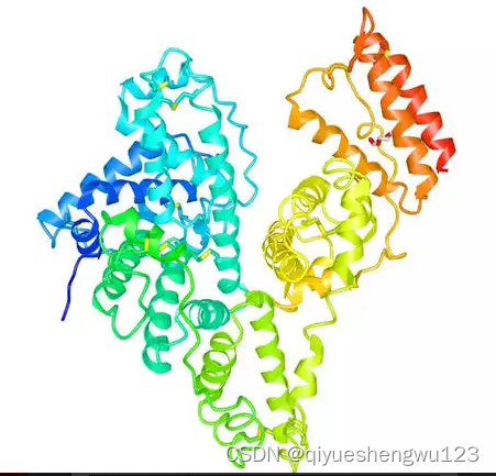 牛血清白蛋白修饰葡萄糖 BSA-glucose，木糖/半乳糖/乳糖偶联牛血清白蛋白