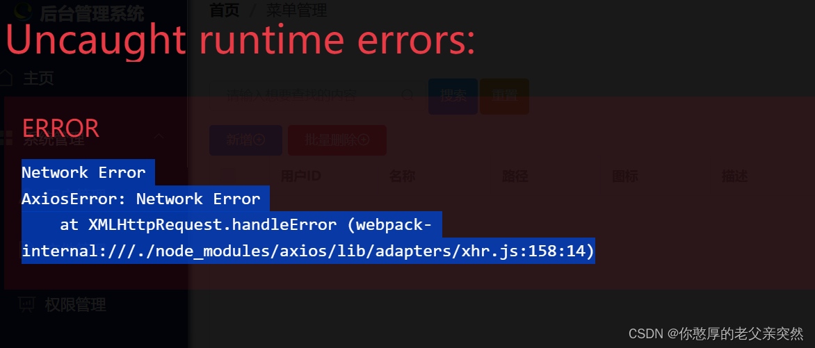 VUE报错xhr.js:163 Uncaught (in Promise) AxiosError {message: ‘Network ...