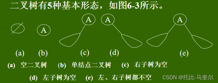 树和二叉树的定义