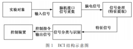 《认知科学与脑机接口》作业整合