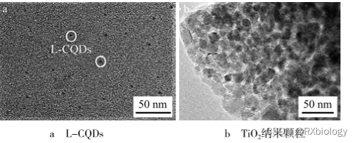 棕黑色L-CQDs/TiO2 离子液体修饰/500nm粒径氮硫掺杂碳量子点N,S-CQDs/ZnO的制备过程