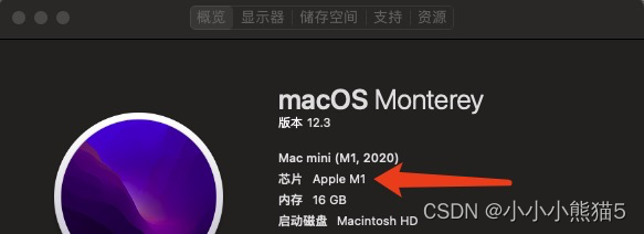 Mac 如何判断下载Mac with Intel Chip 还是 Mac with Apple Chip