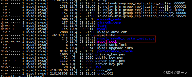 磁盘上的InnoDB Cluster 的元数据仓库文件