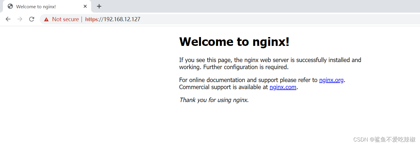 Nginx缓存及HTTPS配置小记