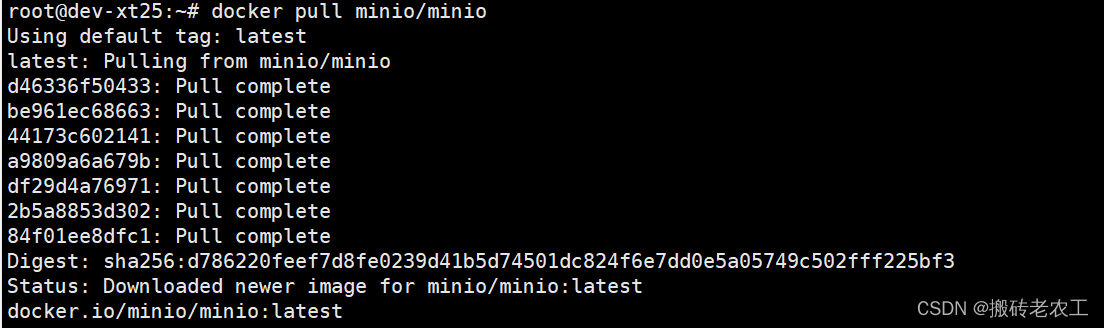 SpringBoot集成Minio搭建自己的分布式文件服务器（Minio安装篇）