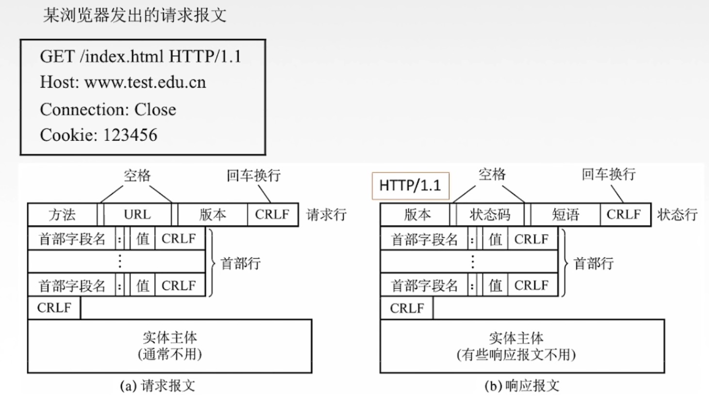 watermark,type_d3F5LXplbmhlaQ,shadow_50,text_Q1NETiBA5pyJ5Liq6YeR5Lid54aK5Y-r6ICB6K64,size_20,color_FFFFFF,t_70,g_se,x_16