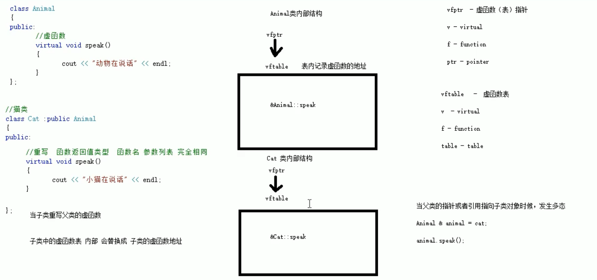 C++ 11 类与对象(多态)