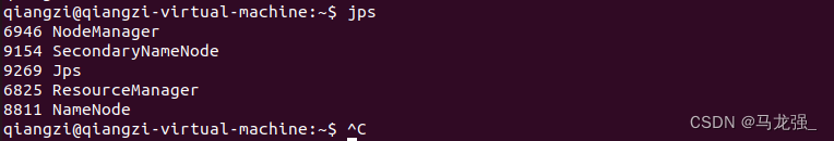 Ubuntu中启动HDFS后没有NameNode解决办法