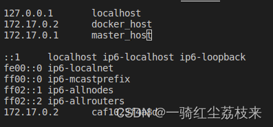 容器内hosts配置