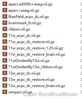 核磁共振常用的文件格式介绍：NIfTI volume 格式 (*.nii)， GIFTI 格式 (*.gii)， CIFTI 格式 (*.nii)