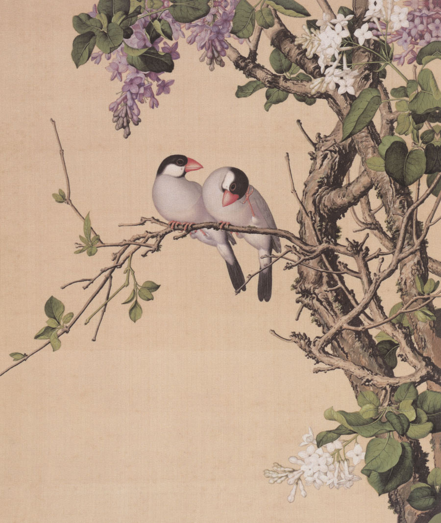 名画332 郎世宁《花鸟图册十六开》-csdn博客