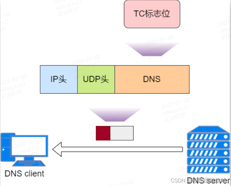 DNS 传输协议