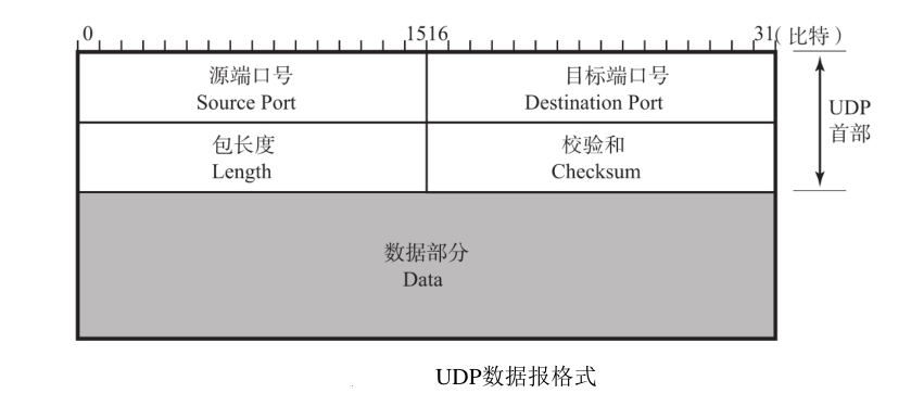UDP数据报格式
