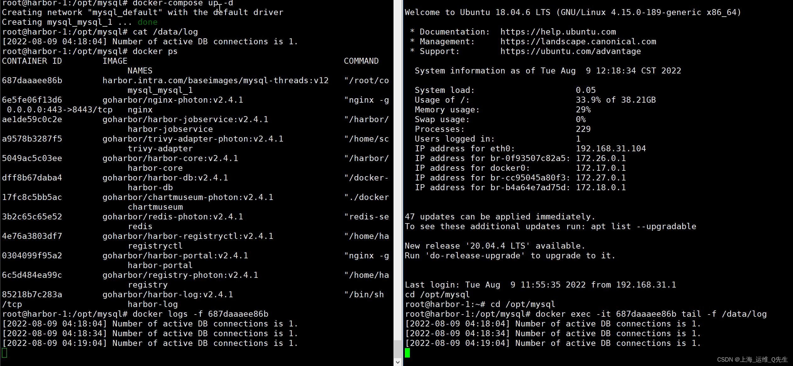 【云原生 | Kubernetes 系列】Docker 面试题2则--取数据库连接数和docker-compose