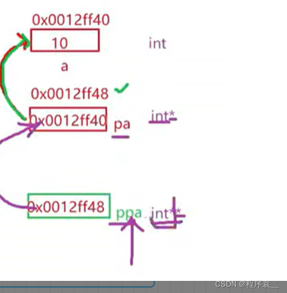 《初始指针》CSDN博客