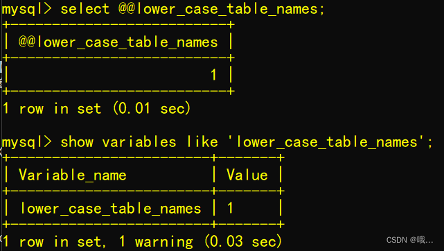 在Ubuntu中使用Docker启动MySQL8的天坑