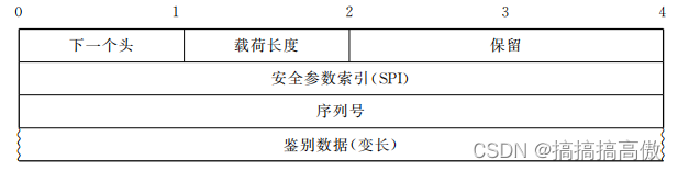 IPSec数据报文封装格式详解