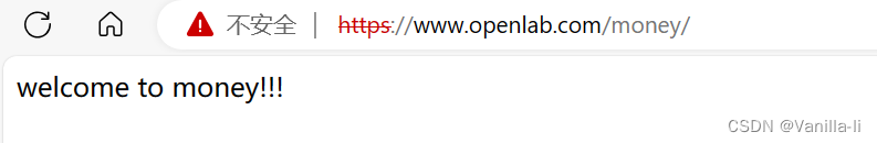 Linux：给openlab搭建web网站