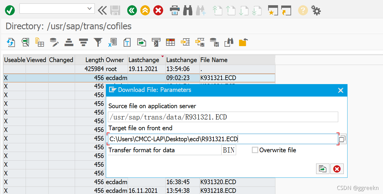 SAP ABAP AL11 CSDN