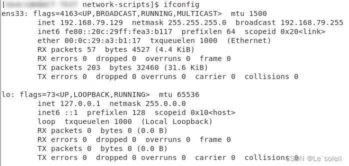 Linux Centos7安装后，无法查询到IP地址，无ens0，只有lo和ens33的解决方案