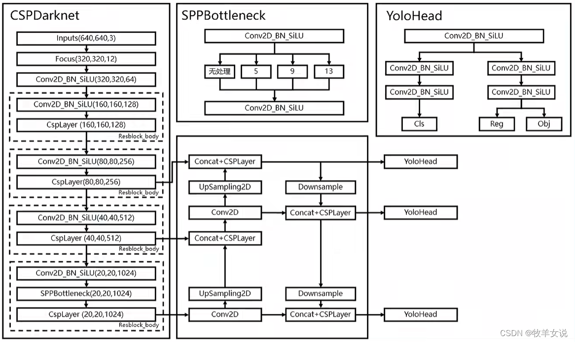 YOLOX backbone——CSPDarknet的实现