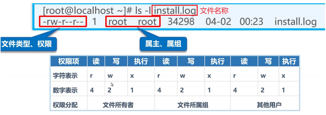 Linux基础(超级无敌认真好用，万字收藏篇!!!!)