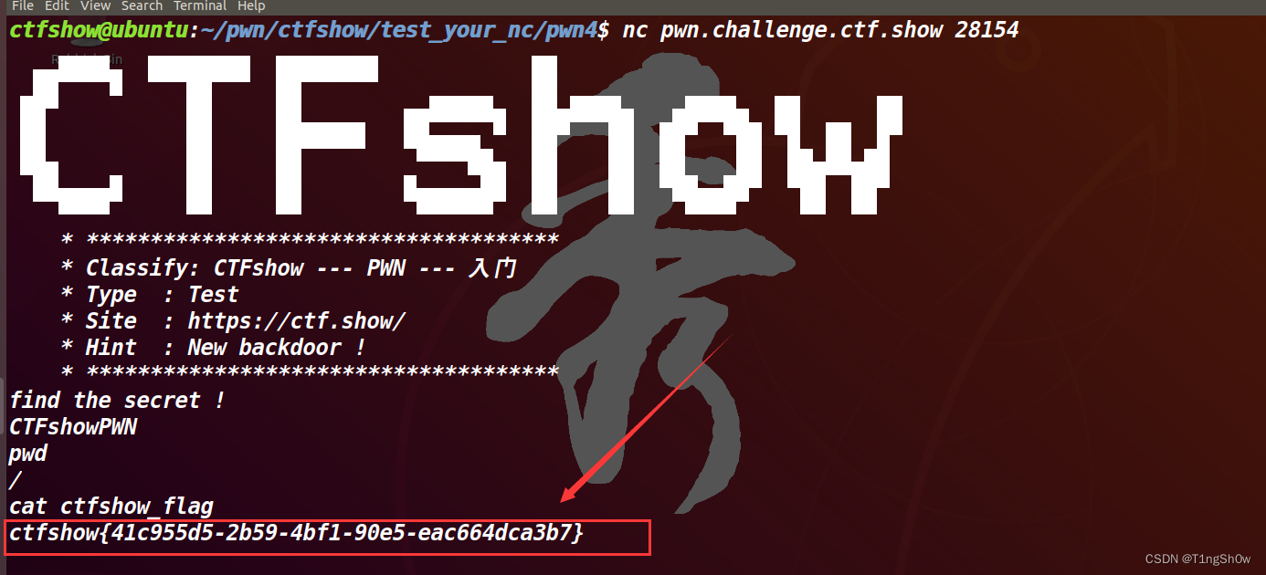 CTFshow-pwn入门-Test_your_nc