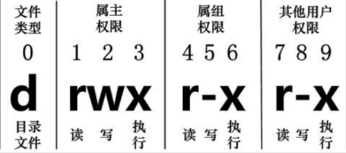 Linux学习之常用基本命令【1】