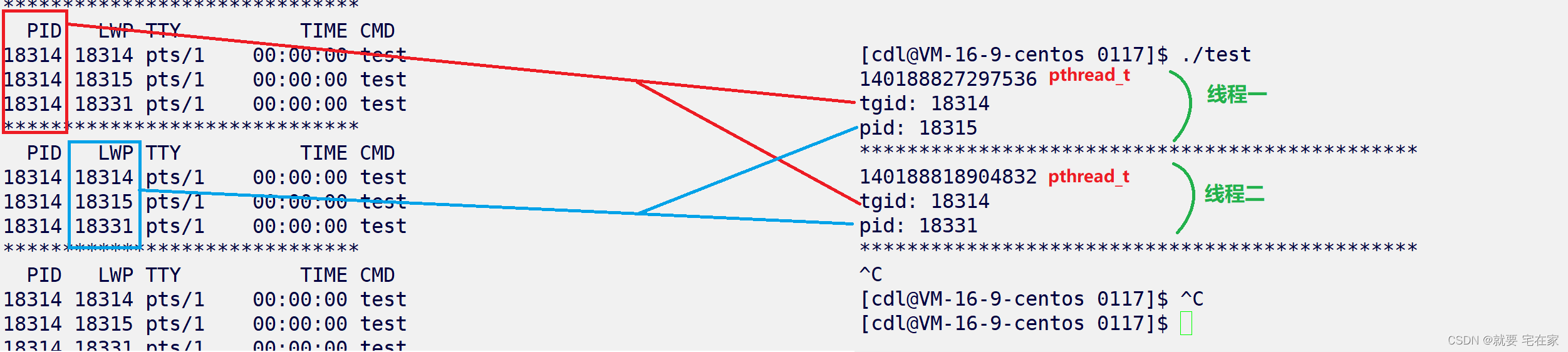 Linux——一文彻底了解进程id和线程id的关系（什么是pid、tgid、lwp、pthread_t）