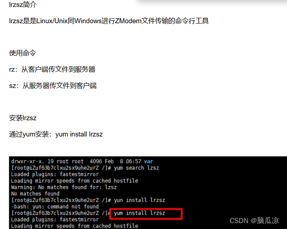 Centos7.9安装lrzsz进行文件传输---Linux工作笔记059