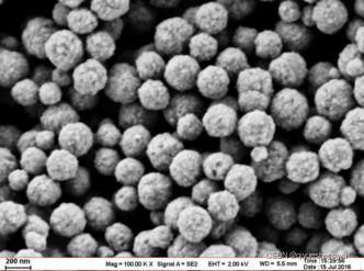 链霉亲和素标记的四氧化三铁磁珠,SA-BiotinModifiedFe3O4Microspheres