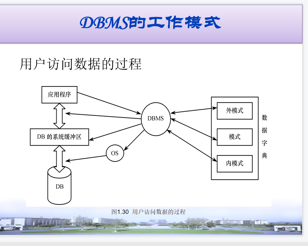 数据库系统组成